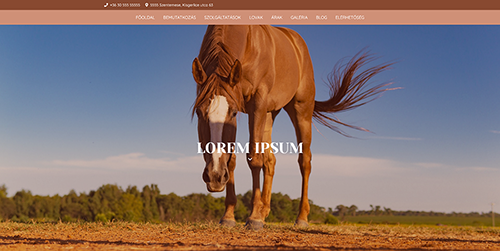 Lovarda portólió előzetes képe